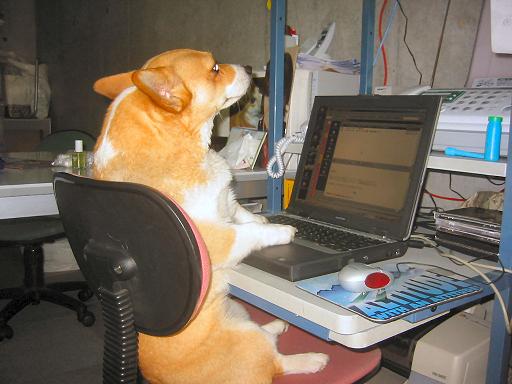favlaud2uc.jpg